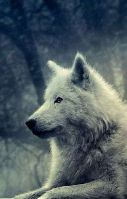 Тик Так Вот И Вечность Истекла 