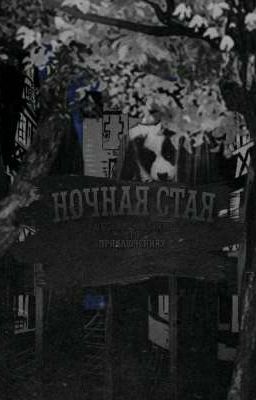Ночная стая