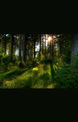 Летние каникулы...