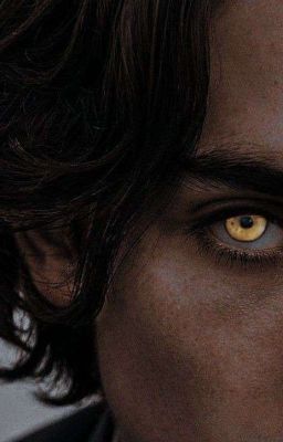 Тайна Волчьей деревни