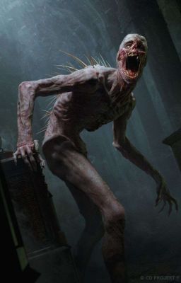 Не открывай дверь