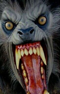 Мусмал снова хочет есть 