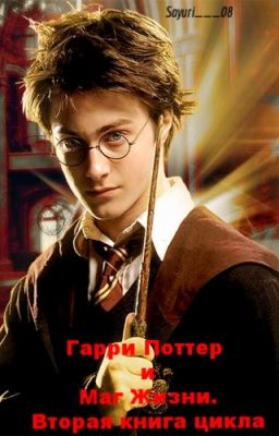 Гарри Поттер и Маг Жизни. Вторая книга цикла.