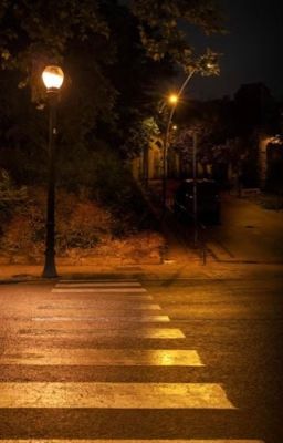 Тайны холодной ночи