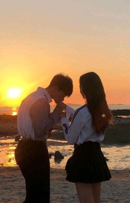 университет 