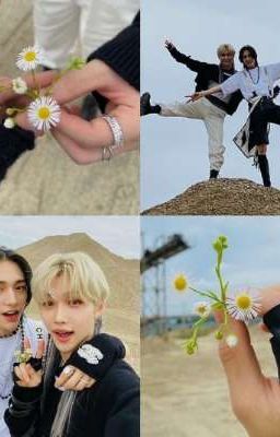 ★Хёнликсы★