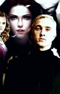 Цена Доверия