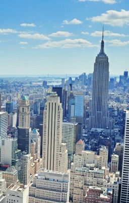 Год Приключений