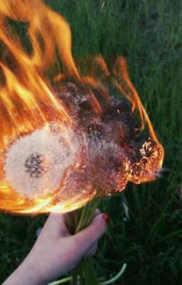 Гори,мой одуванчик