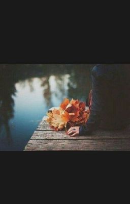 Новая встреча