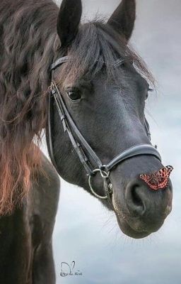 Конец, Начало и Земля