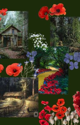 Круглый Стол