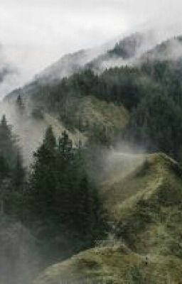 жизнь Викки