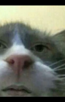 Смешные Истории Из Моей Жизни