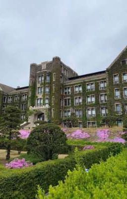 Университет, о котором я мечтала? 