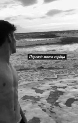 Перевод  моего сердца..🫀