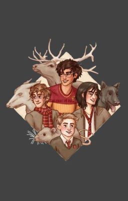 Сестра Джеймса Поттера 