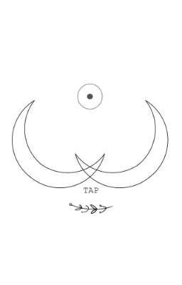 .. У меня в руках осколки упавших звёзд