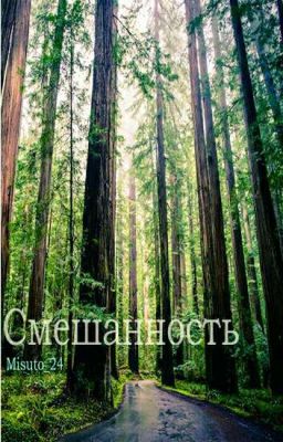 Смешанность