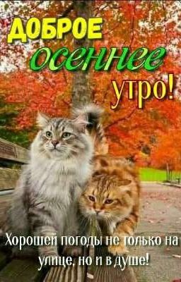 Любовь и разлука