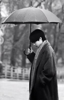 Цвета дождя