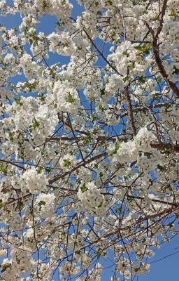 Дружба И Любовь С Киллером 