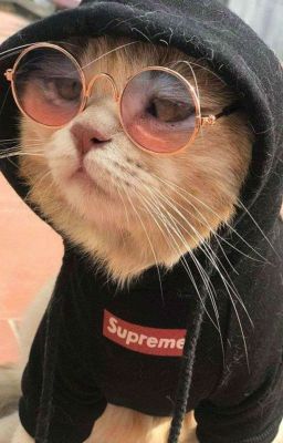 наш весёлый класс