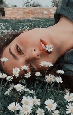 i'm not a writer ✮ write me