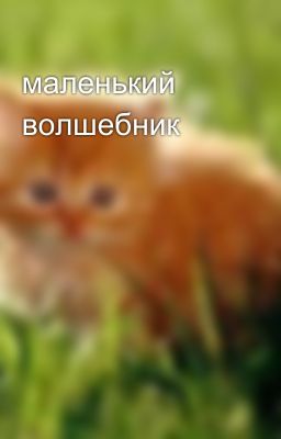 маленький волшебник