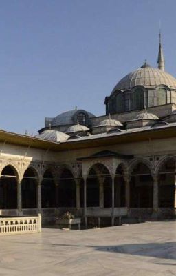 Дворец моих сожалений