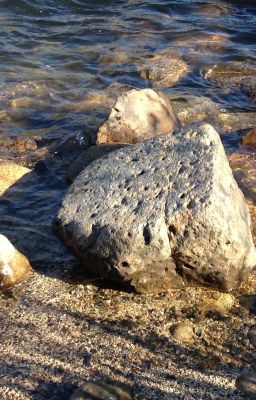 Камень у реки