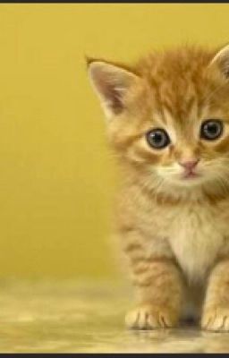 Обычный день(но не на этот раз)