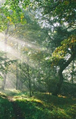 Хрустальные Слезы. 