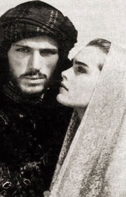 Охраняя его сердце