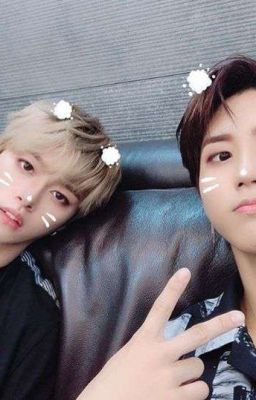 Братец кролик