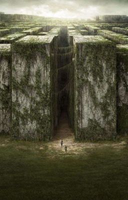 ✨Бегство как средство спасения ✨