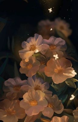 Моя история