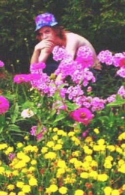 Супертеща для Голубина 