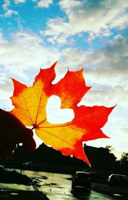 Приключения Сары Оддли