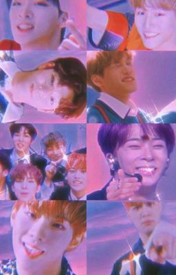 ᴍᴄɴᴅ ᵒᶠᶠⁱᶜⁱᵃˡ || ɴᴇᴡs, ᴘʀᴏғɪʟᴇs, ᴄᴏᴍᴇʙᴀᴄᴋs