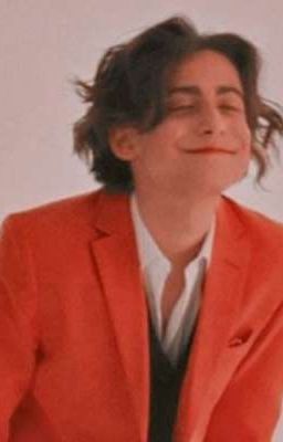 Сводный брат