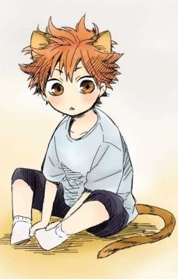 Реакции по "Haikyuu"