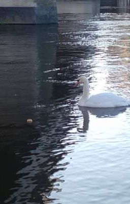 мая жизнь  🥺