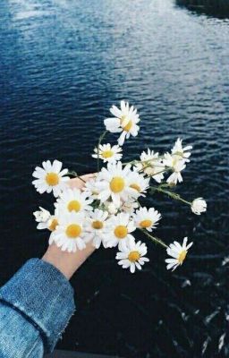 23 фотографии лета