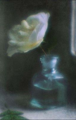 Луна - Слуга Солнца