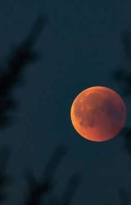 танцы с тобой при луне