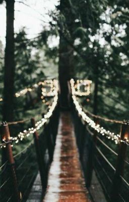 БезНазвания