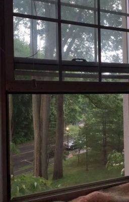 Ночь в шалаше из подушек