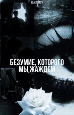 Безумие, которого мы жаждем | Невио и Аврора