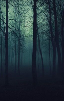 В тени леса